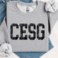 CESG Acid Wash Letters Sweatshirt