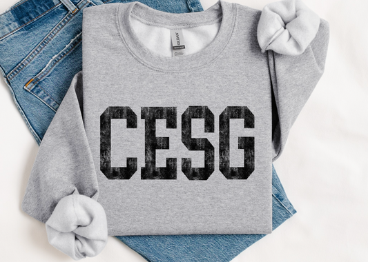 CESG Acid Wash Letters Sweatshirt
